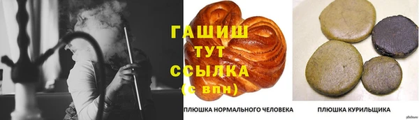 индика Володарск