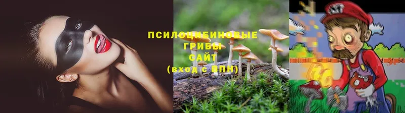 Псилоцибиновые грибы Psilocybe  Заинск 